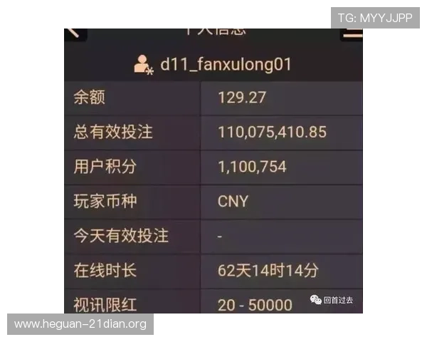 如何利用百家乐路单收集工具分析走势实现盈利最大化的实战经验分享